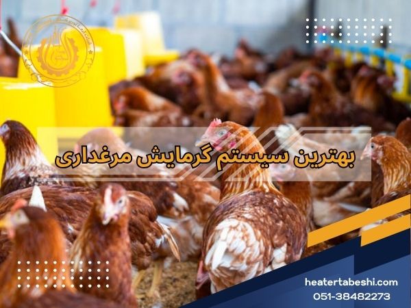 بهترین سیستم گرمایش مرغداری